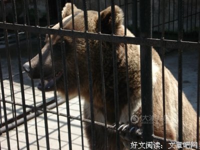有关不清楚经典句子