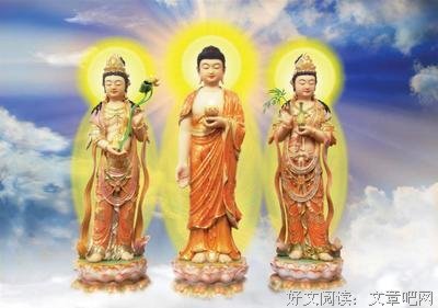 最全的《温暖躯壳》佳句摘抄大全