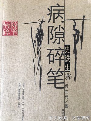 最全的《病隙碎笔》小说书摘