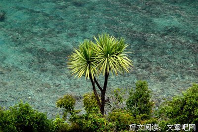 如果可以，我想删了你