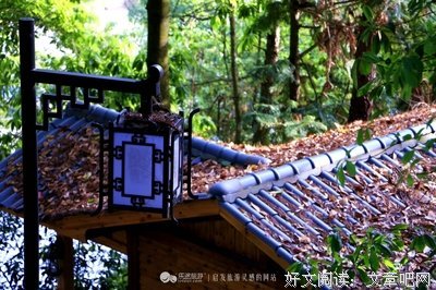 最经典的《群山回唱》佳句摘抄