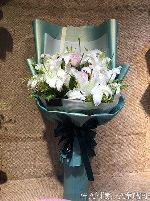 最全的《花田半亩》经典语句大全