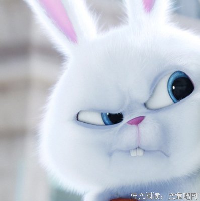 《邪医毒妃》小说摘抄