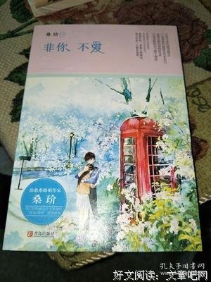 最新的《非你不爱》语录摘抄