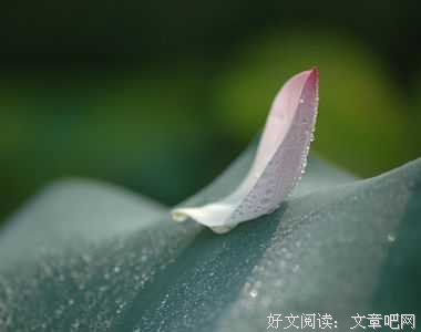 懂，是缘分未尽的深情
