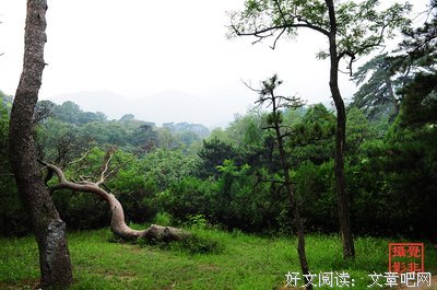 关于明哲保身的座右铭