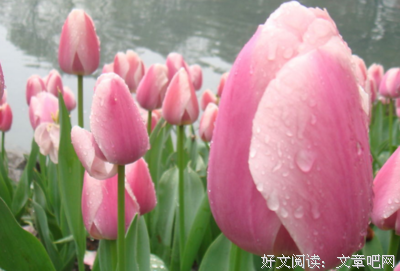 描写寒冬腊月的经典句子