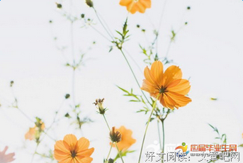 智慧经典的句子