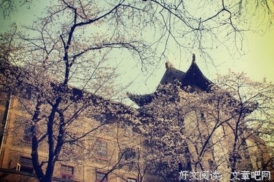 情感的优美句子