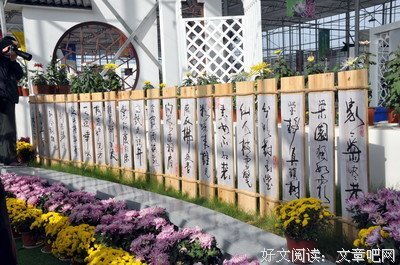 关于时不过候的句子