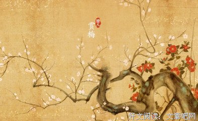 守候的优美句子