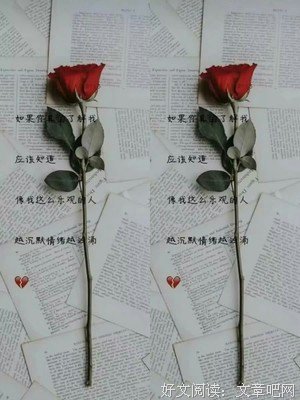 《杂》的句子