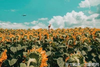 人心太软，下场太惨，精辟！