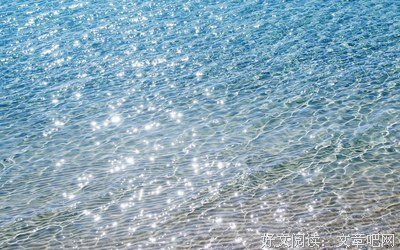关于夏天岛名言