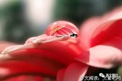 最全的《尘世·挽歌》语录摘抄