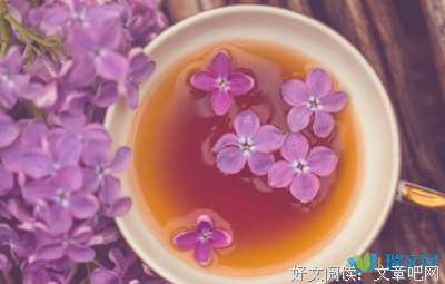 最经典的《九千米情人》好段摘抄