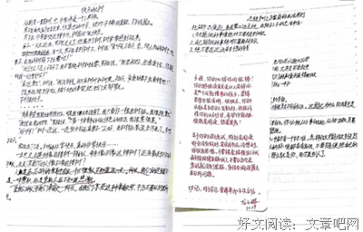 最新的《暂时哲思论》好段摘抄