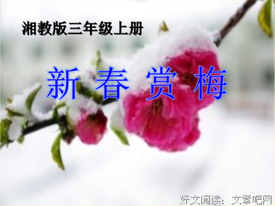 含苞欲放的句子