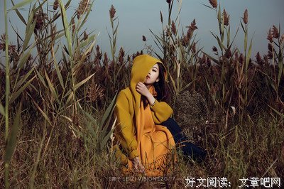 关于雷子的语句