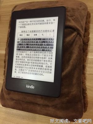 关于幺蛾子的语句