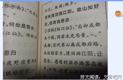 网上的动人佳句名句欣赏