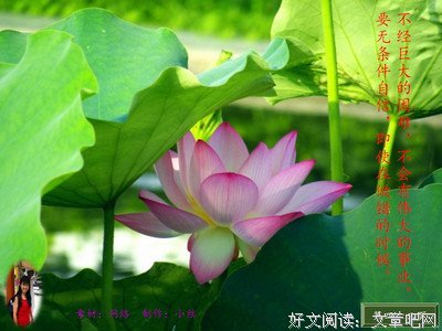 生没就都自我集锦名句欣赏