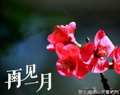 嗨！你好吗？句子大全