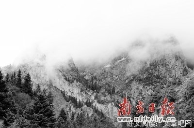 最全的白白的小米粒座右铭