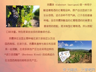 杜拉斯座右铭