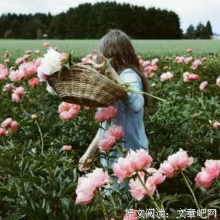 最经典的杨熹文名言大全