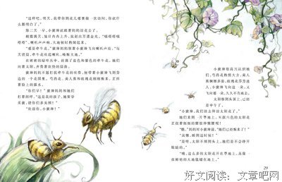 关于杨红樱15句经典名言