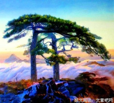 最新的温清欢的名言