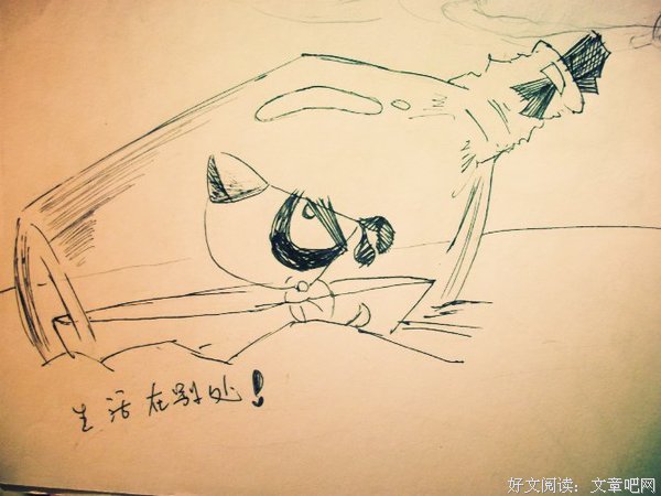 最全的《生活在别处》小说摘抄