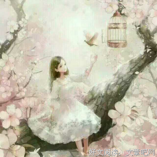 最新的《樱花落海洋2》小说句子大全