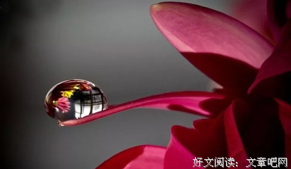 最全的《叶罗丽精灵梦》经典的句子大全
