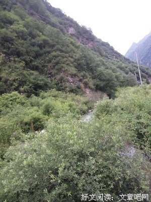 最新的《在细雨中呼喊》小说摘抄