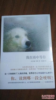 最经典的《我在雨中等你》小说书摘