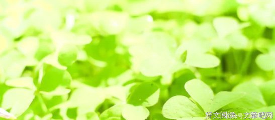 关于富裕的语句