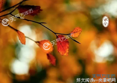 描写视若无睹的经典句子