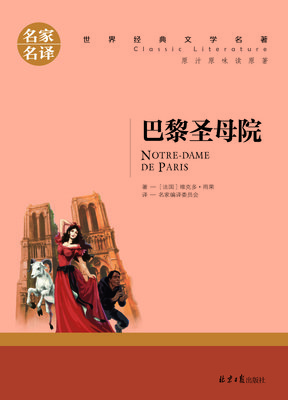 大火后巴黎圣母院照片曝光：有多少热爱，经得起等待？