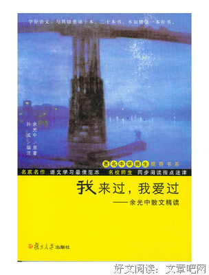 关于岁月间，我爱的少年的句子