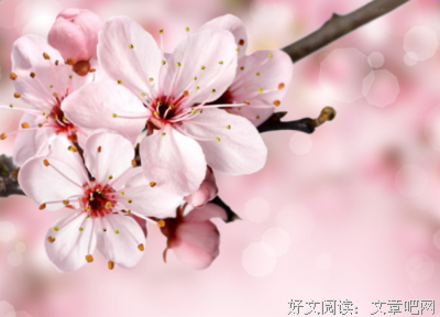 祈愿句子大全