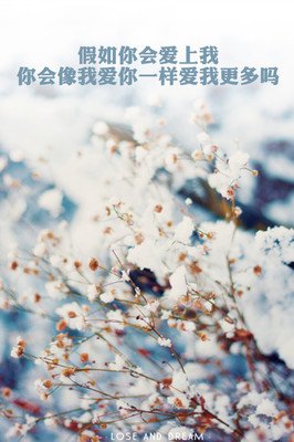 青春是个昂贵的梦的句子