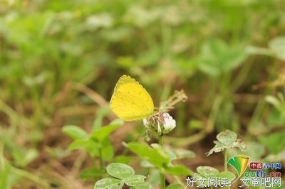 有关春秋的句子