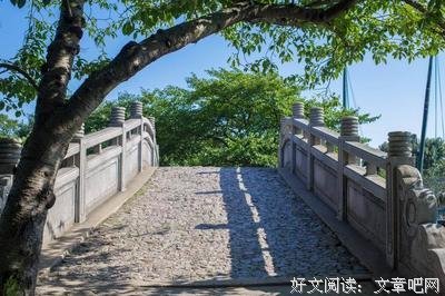 有关泛的句子