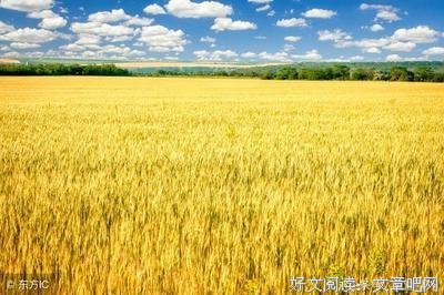 最新的萧伯纳名言大全