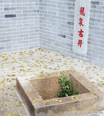 最经典的三水小草精彩语录