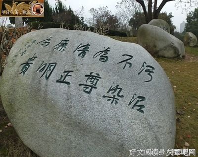 鹿满川名言大全