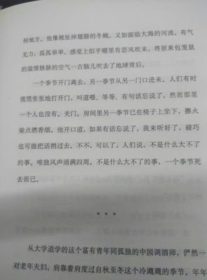 最新的《1973年的弹子球》小说句子