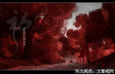 最全的《人生若只如初见》好段摘抄